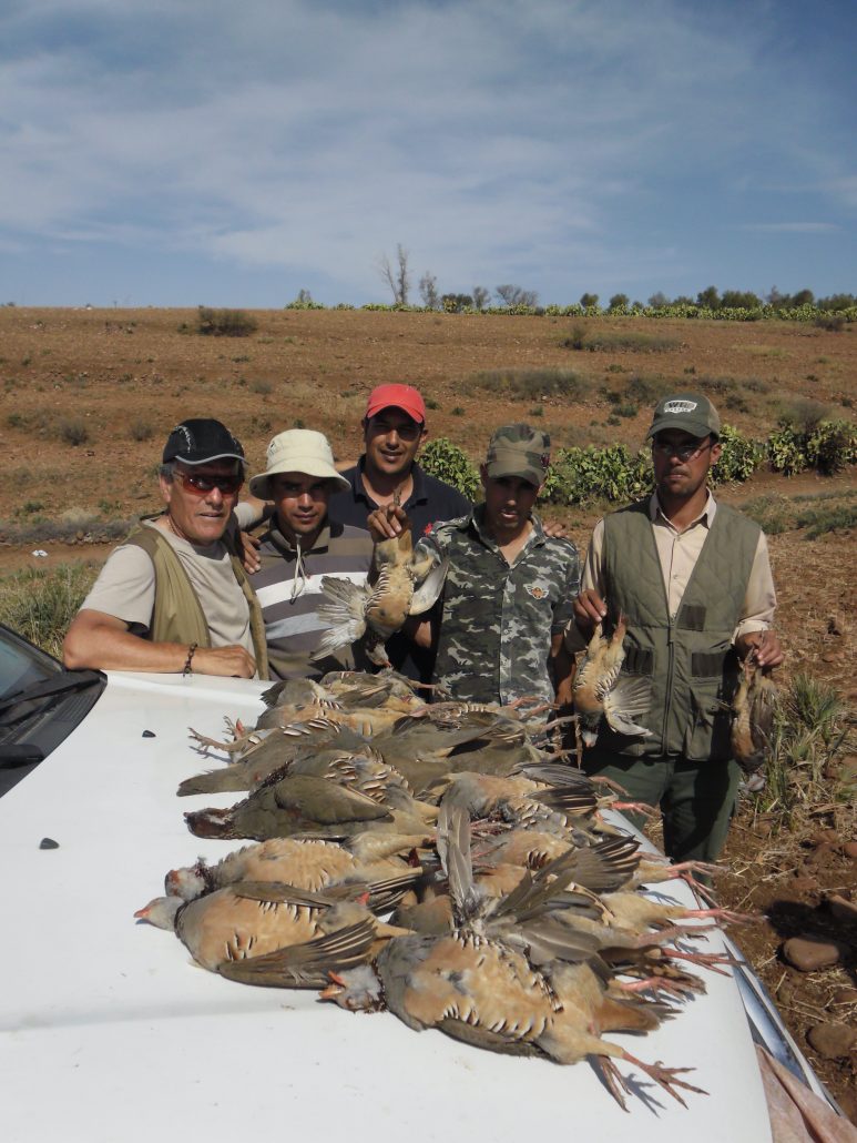 Autentic chasse - chasse au maroc