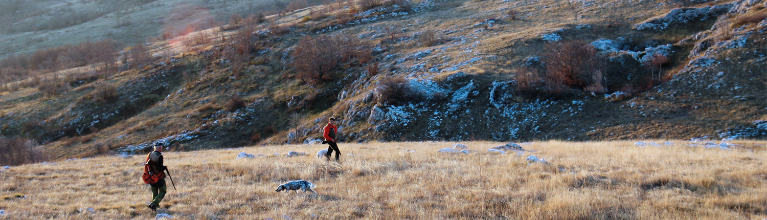 Autentic Chasse - chasse des becasses en bosnie
