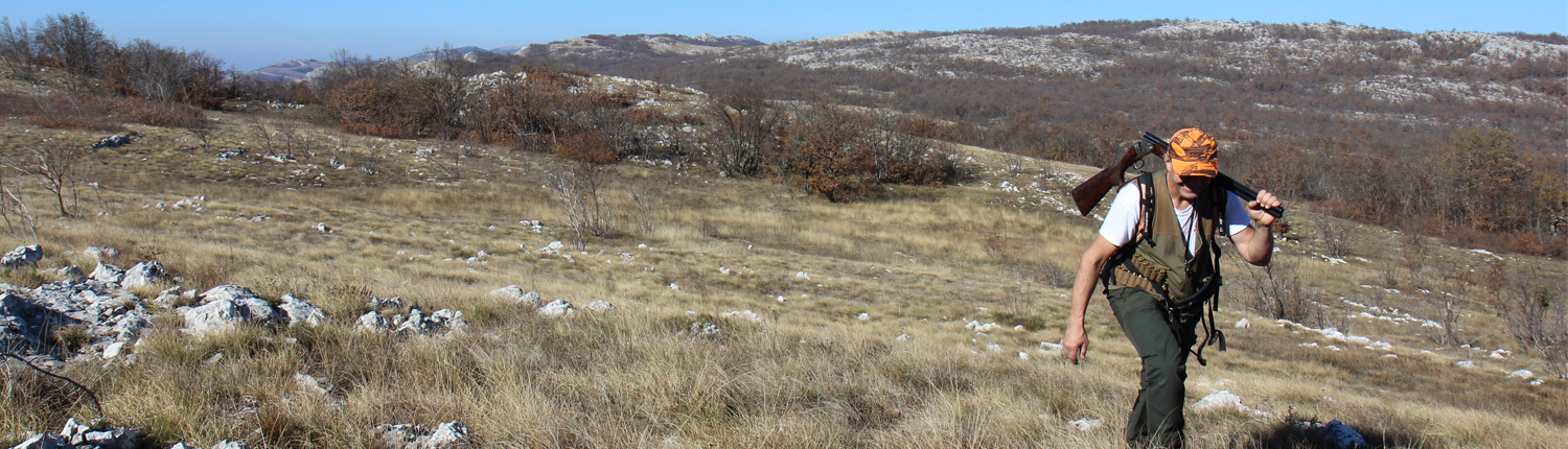 Autentic Chasse - chasse des becasses en Bosnie