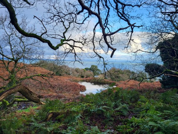 Panorama écossais Chasse en Ecosse avec Autentic Chasse