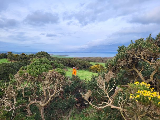 Chasse de la bécasses dans les wind bushes Chasse en Ecosse avec Autentic Chasse