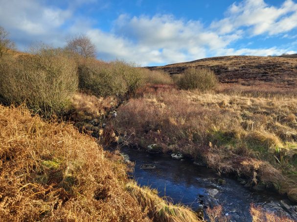vue d'une zone de chasse Chasse en Ecosse avec Autentic Chasse