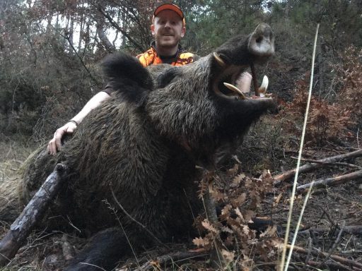 Chasse du sanglier en Turquie Séjours de chasse à l'étranger avec Autentic Chasse