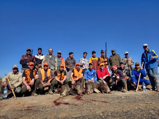 Battue sanglier Maroc Séjours de chasse à l'étranger avec Autentic Chasse