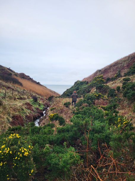 Zone de chasse face à l'Irlande Chasse en Ecosse avec Autentic Chasse